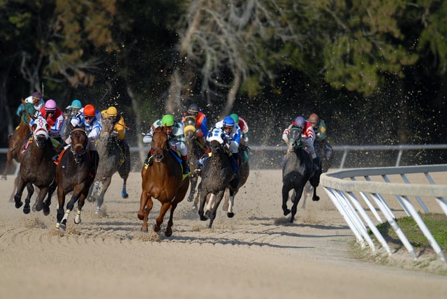 horse race